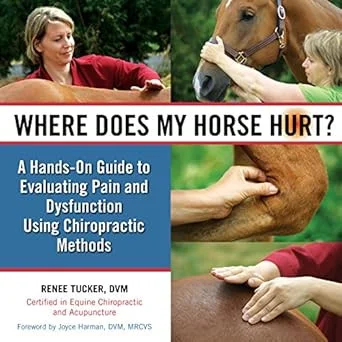 americanbookwarehouse10-866816