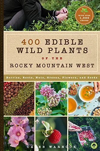 americanbookwarehouse10-878770