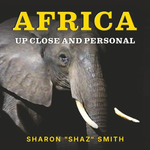 americanbookwarehouse11-1072927