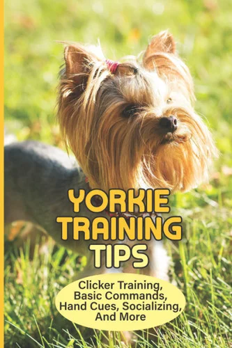 americanbookwarehouse11-1117934