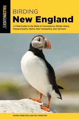 discountmags9-1317972